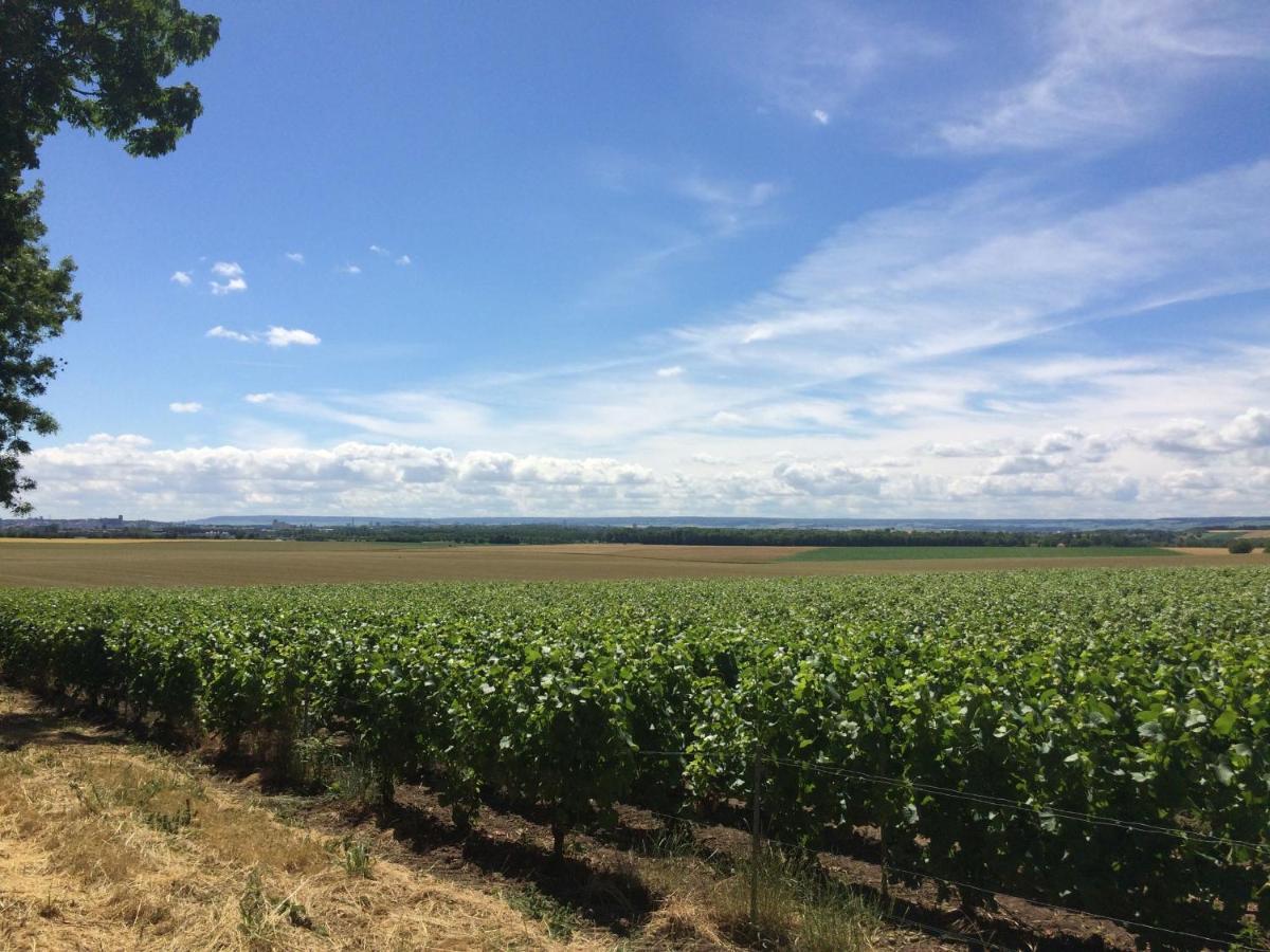 Best View, Pool And Spa On The Champagne Vineyard Saint-Thierry Exterior photo