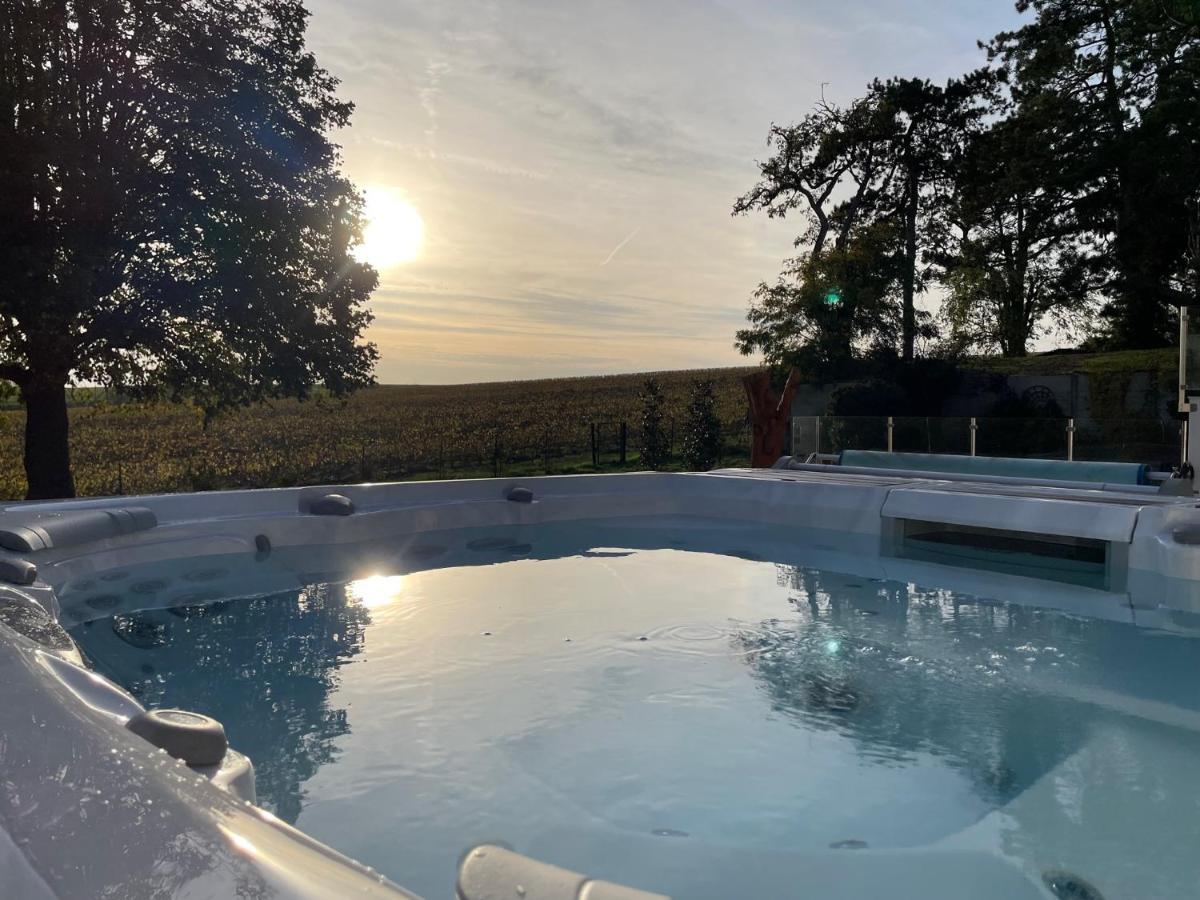 Best View, Pool And Spa On The Champagne Vineyard Saint-Thierry Exterior photo
