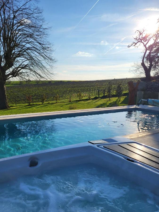 Best View, Pool And Spa On The Champagne Vineyard Saint-Thierry Exterior photo