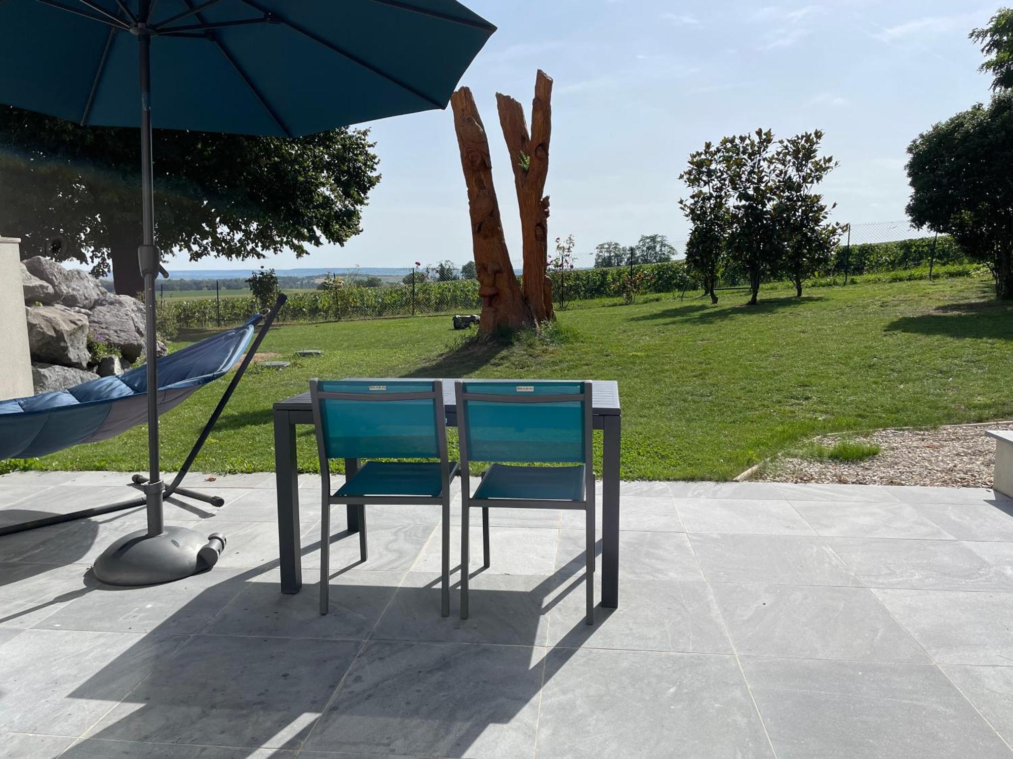 Best View, Pool And Spa On The Champagne Vineyard Saint-Thierry Exterior photo