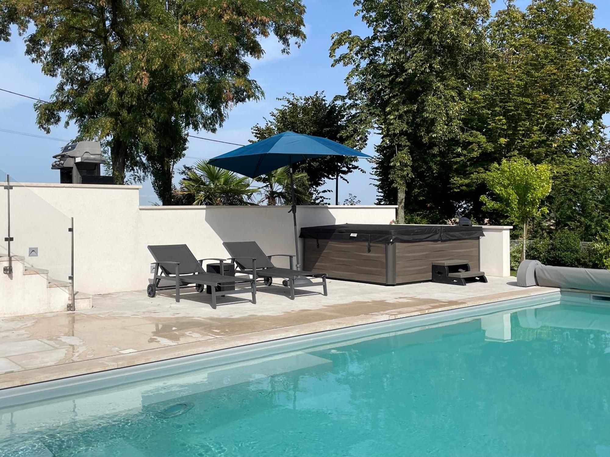 Best View, Pool And Spa On The Champagne Vineyard Saint-Thierry Exterior photo